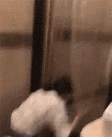 扁桃早上回家发现邻居老王......