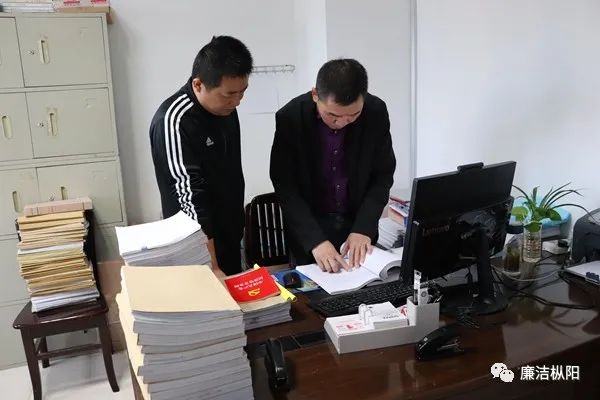 关注|枞阳:“一人一策”式回访做好审查调查“后半篇文章”