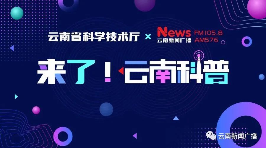 云南直播科普,冠脉造影手术3d全过程