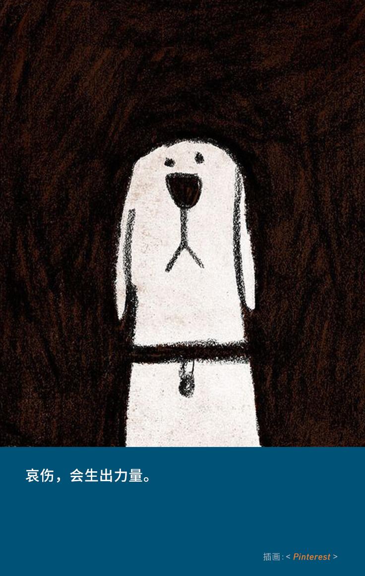 “似乎它从来都没有真正离开过”:和宠物告别的25个时刻