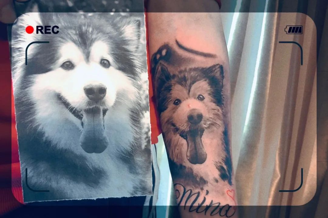 “似乎它从来都没有真正离开过”:和宠物告别的25个时刻