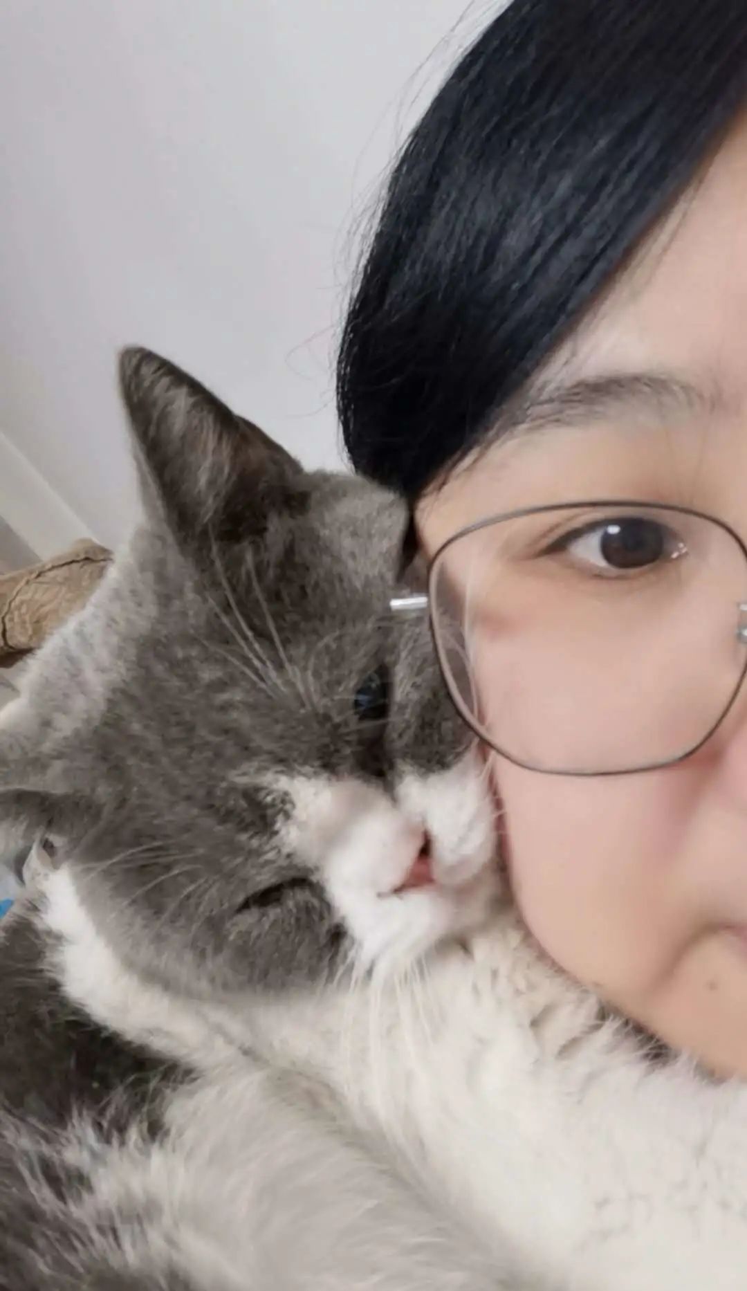 “似乎它从来都没有真正离开过”:和宠物告别的25个时刻