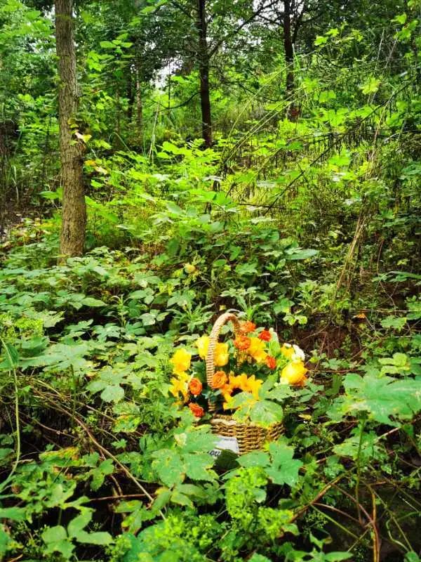 “似乎它从来都没有真正离开过”:和宠物告别的25个时刻