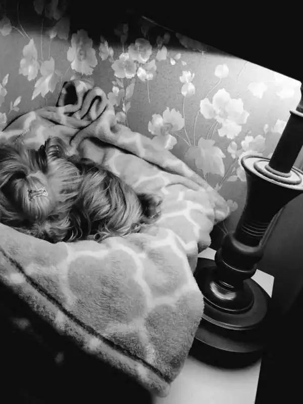 “似乎它从来都没有真正离开过”:和宠物告别的25个时刻