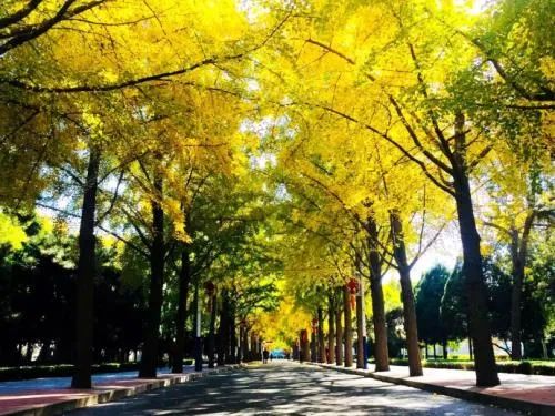 北京的色彩课文,北京的色彩视频