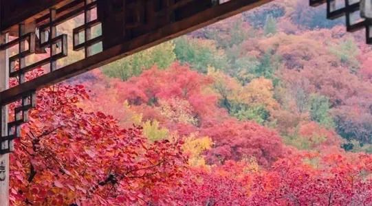 北京的色彩课文,北京的色彩视频