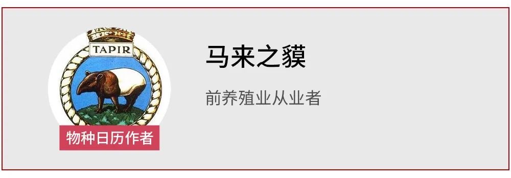 乌鸡怎么长得那么黑,乌鸡是在哪里首次发现的