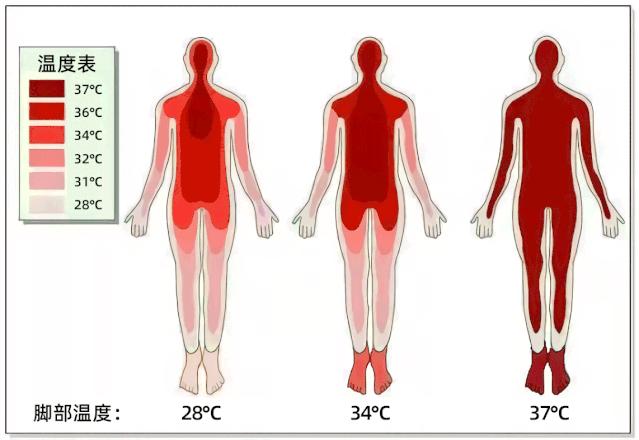 穿着舒服加绒防雨鞋,冬季慵懒风鞋防水