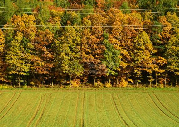 满怀深情厚意助力扶贫,接地气聚人气