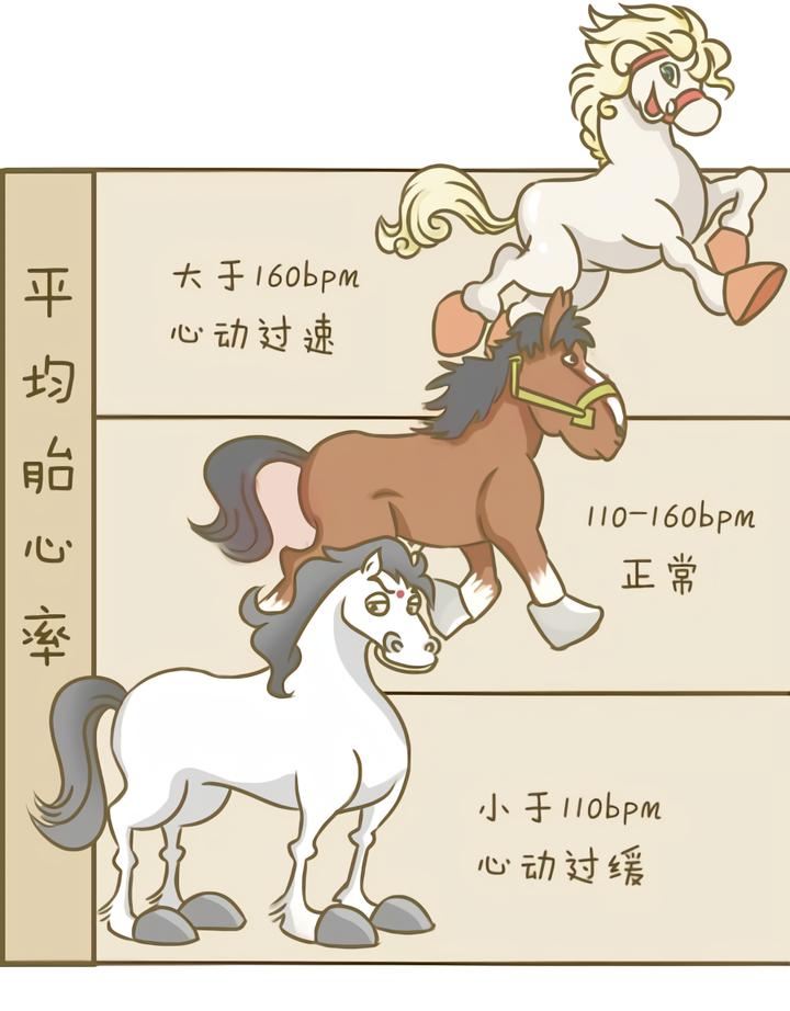 孕晚期的胎心监护有什么用,孕晚期胎心监护能喝水吗