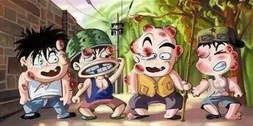 「PNAS」以毒攻毒！黄蜂毒液可提取新型抗生素，可治疗败血症