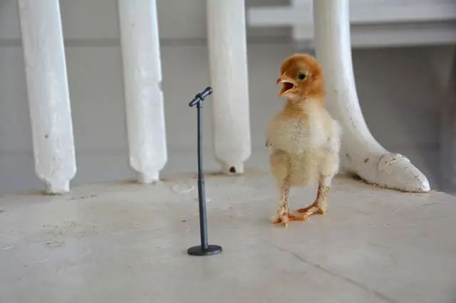 2014国家地理摄影大赛获奖,国家地理杂志摄影大赛获奖作品