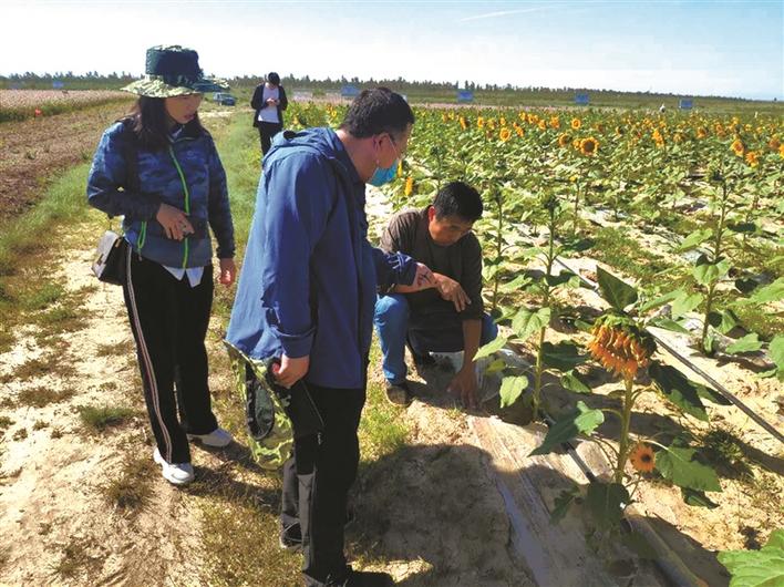陕西环保十大成效,凝聚力量砥砺前行做好环保工作