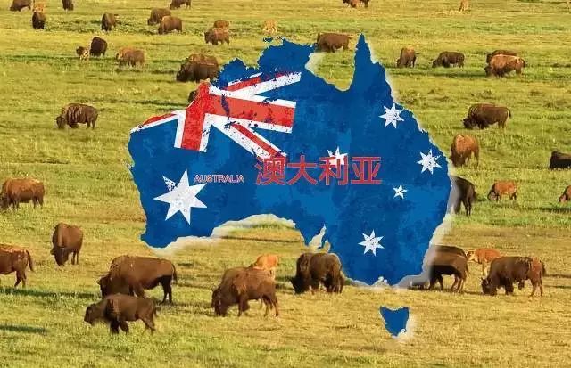 蓝睛生活圈正式上线啦,特惠商品等您来抢