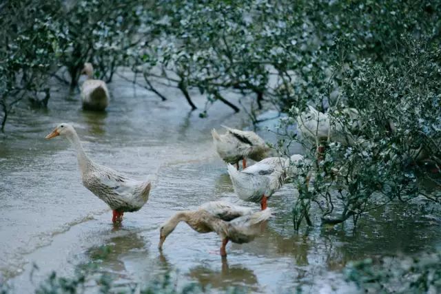 蓝睛生活圈正式上线啦,特惠商品等您来抢