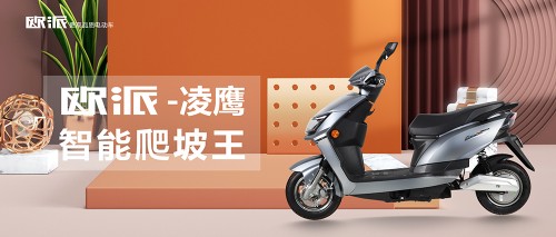 欧派电动车使用注意事项,欧派电动车自行车骑行方法