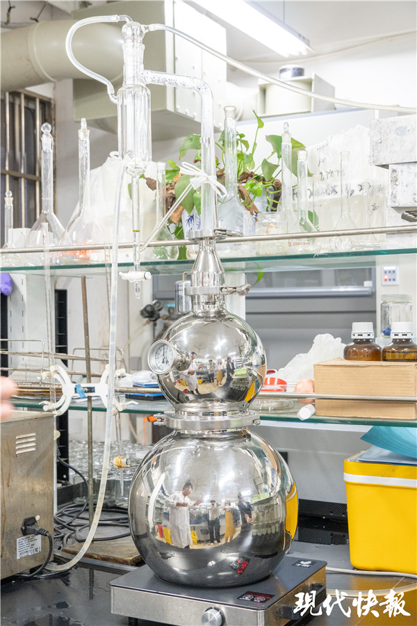 南农大菊花口红色号,疯狂种草口红色号