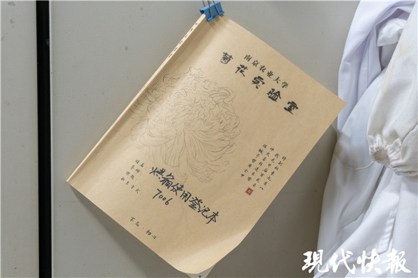 南农大菊花口红色号,疯狂种草口红色号