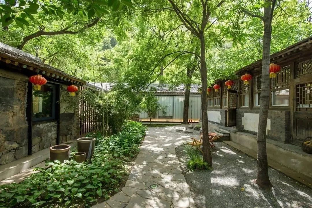 绉嬪ぉ鏉ヨ繖閲岃祻绾㈠彾,鏉ヨ繖閲屼竴璧疯祻绾㈠彾