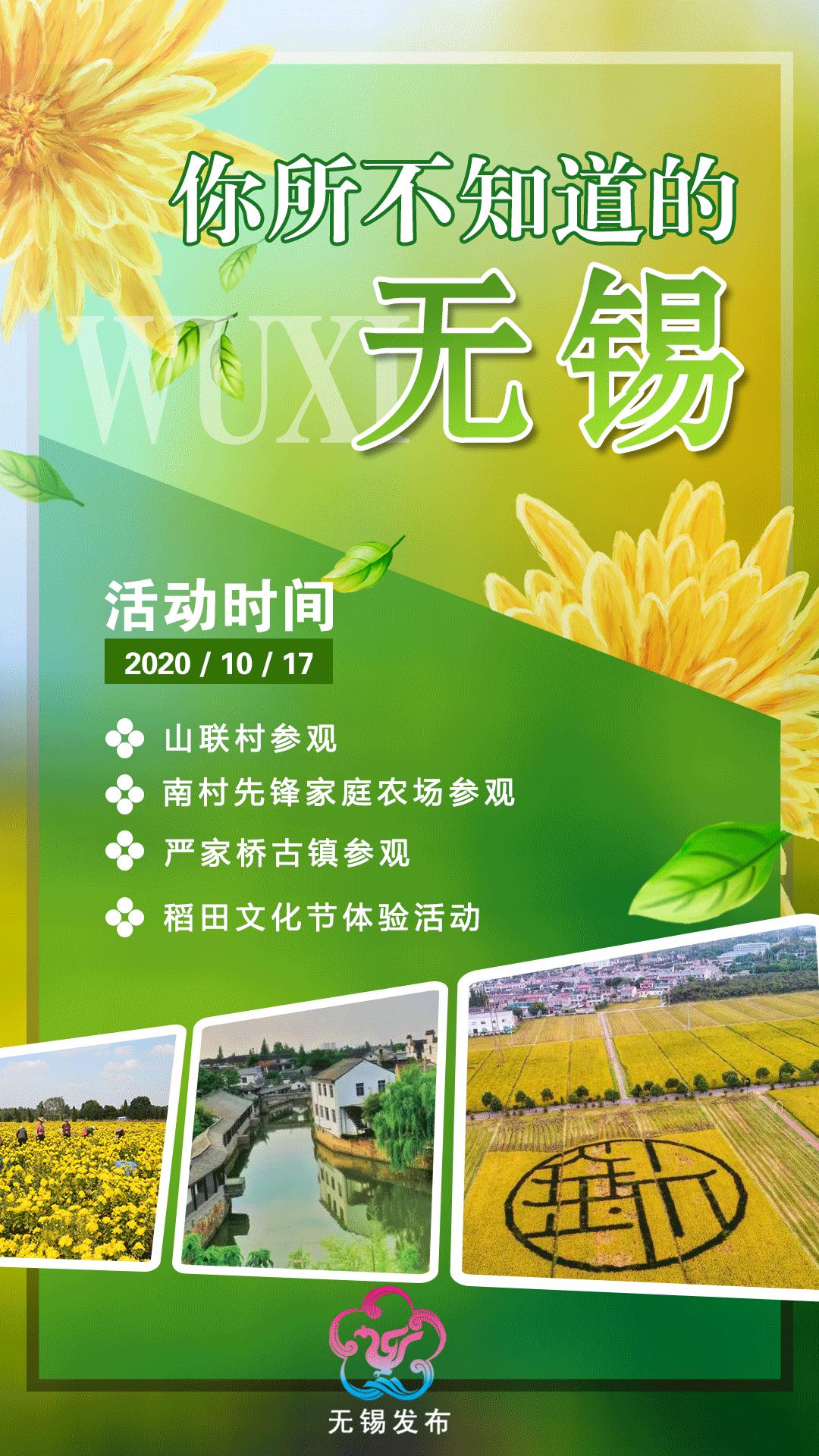 广州稻田网红打卡地,宜良稻田网红打卡点