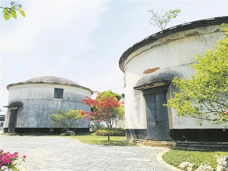 广州稻田网红打卡地,宜良稻田网红打卡点