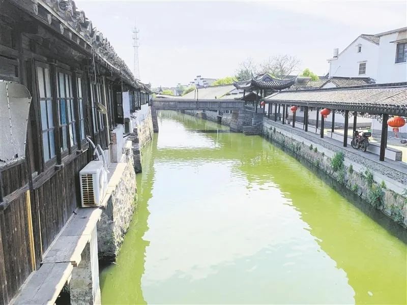 广州稻田网红打卡地,宜良稻田网红打卡点