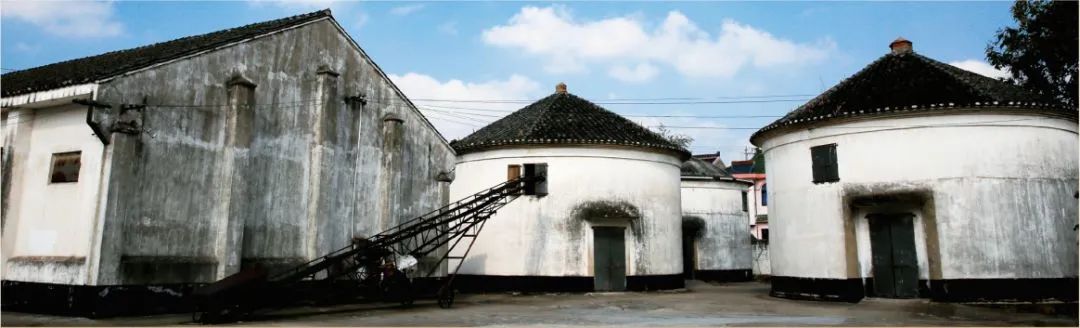 广州稻田网红打卡地,宜良稻田网红打卡点