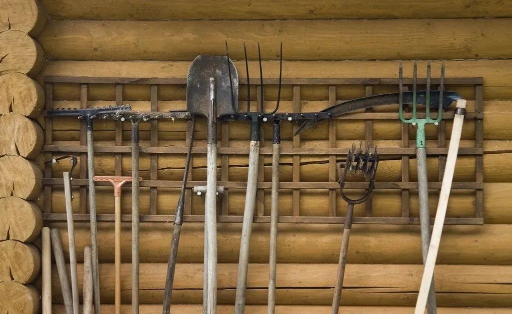 广州稻田网红打卡地,宜良稻田网红打卡点