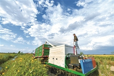国有粮库反腐新闻,国有粮库反腐新进展