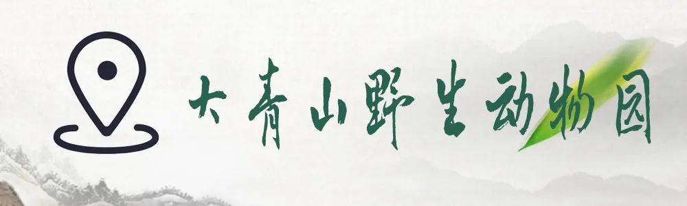 真·诗城“仙”踪