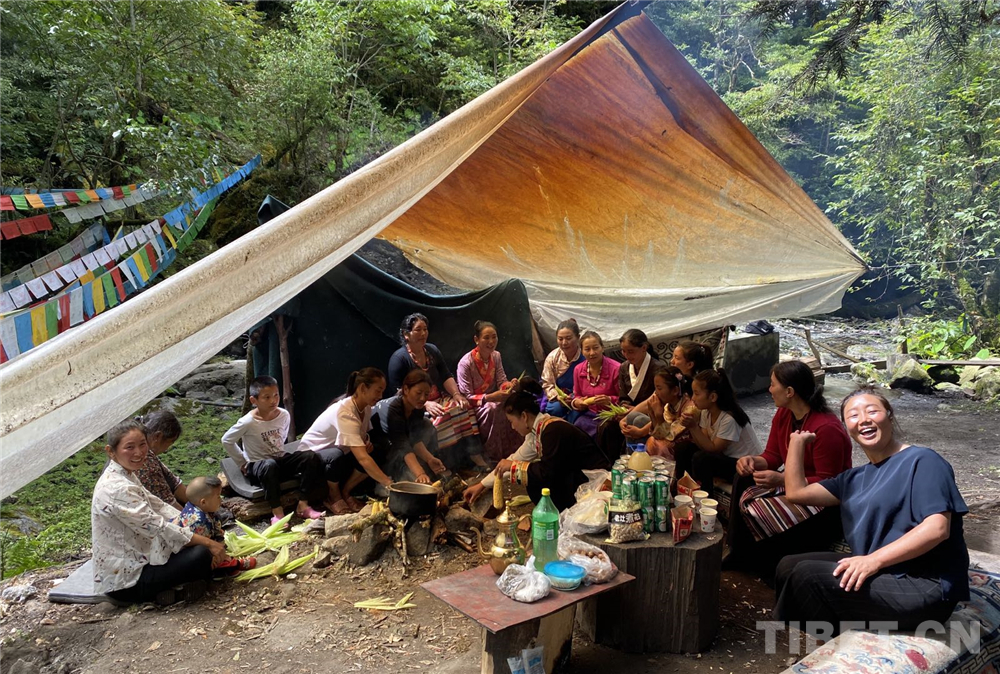 盘点西藏4个最美避世村落,西藏察隅旅游资源探秘
