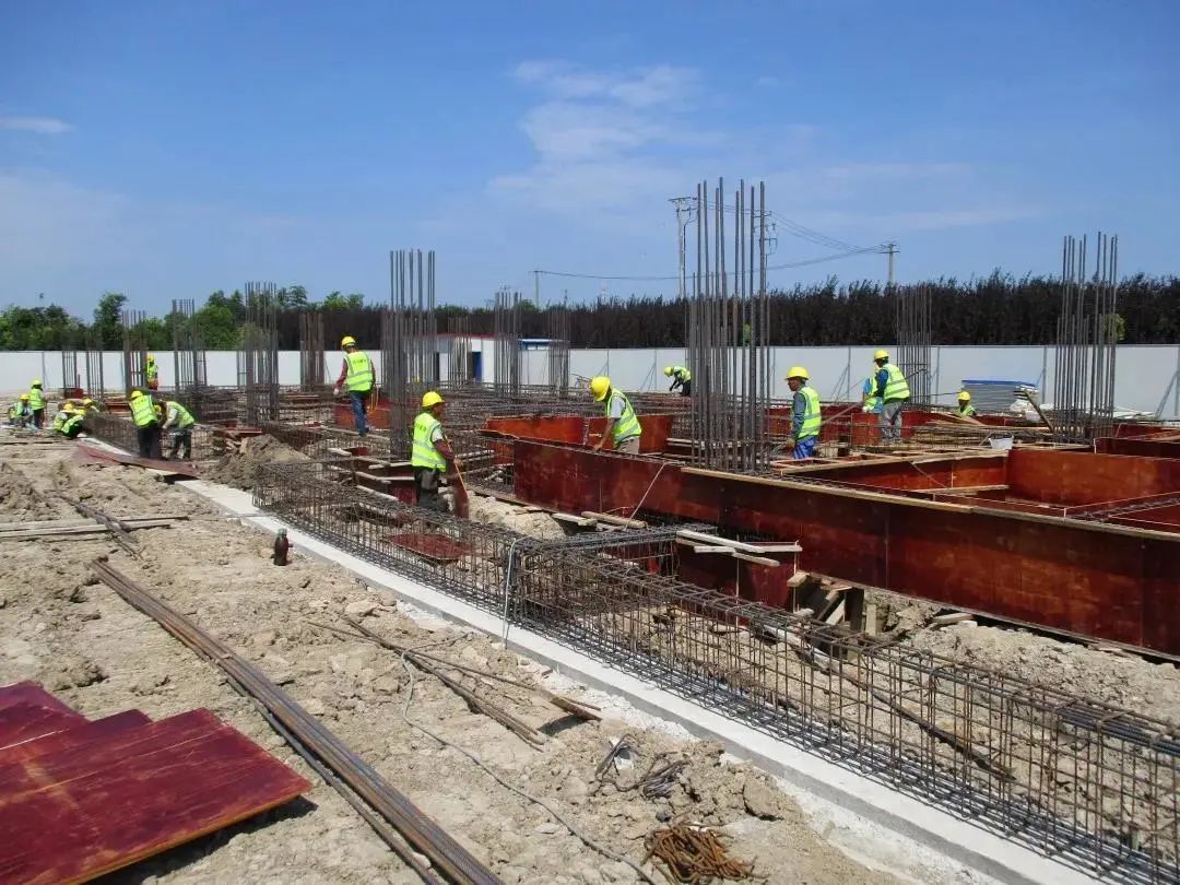 金山幼儿园资质,金山市级幼儿园