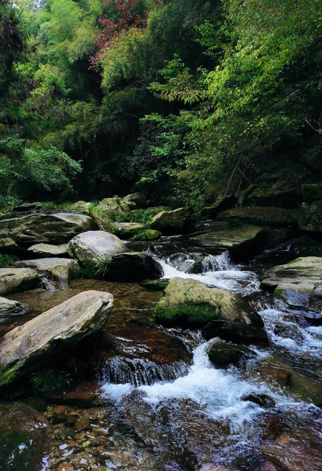 武汉人自驾游住哪里,武汉人自驾游住哪里好