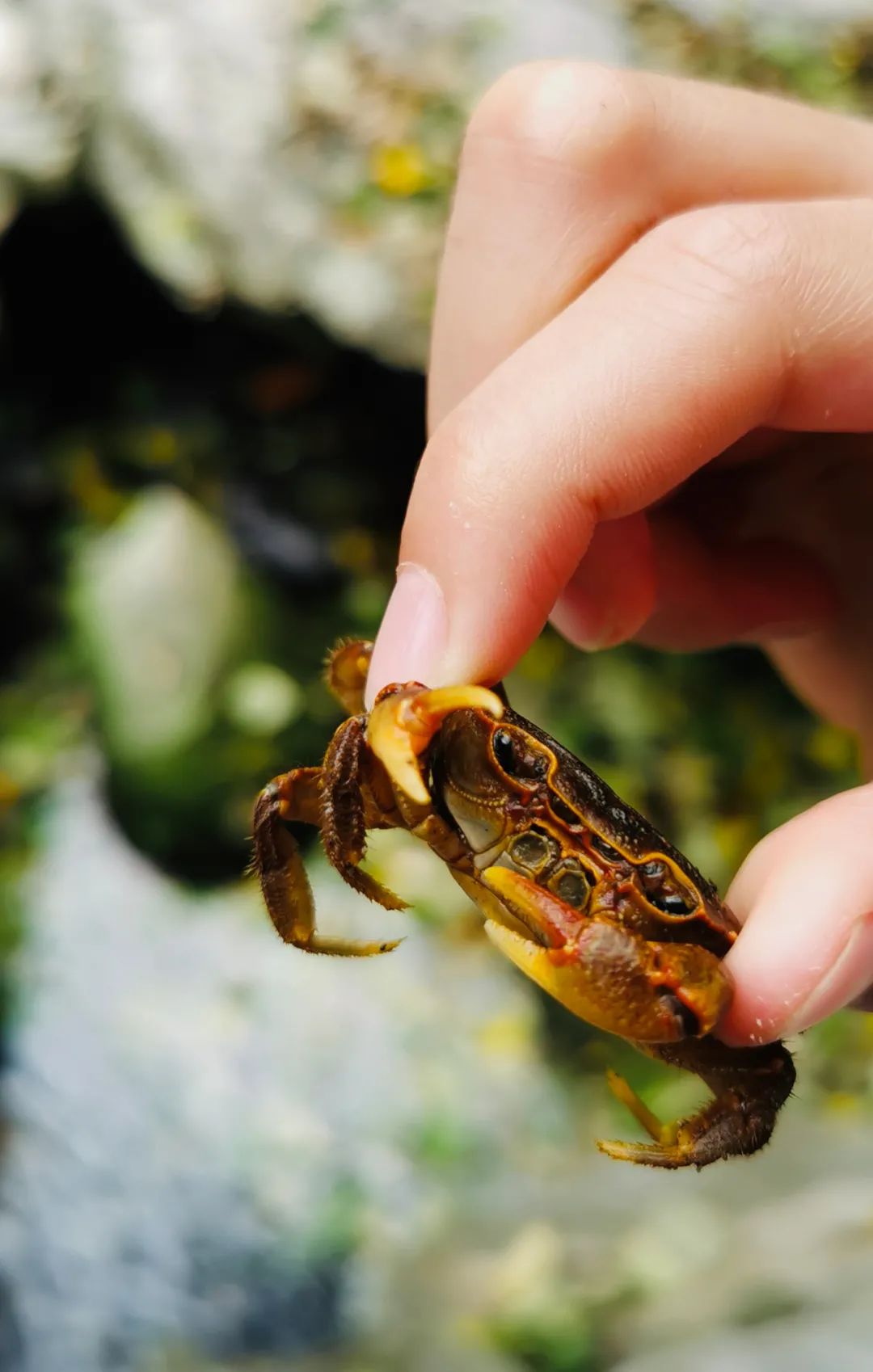 武汉人自驾游住哪里,武汉人自驾游住哪里好