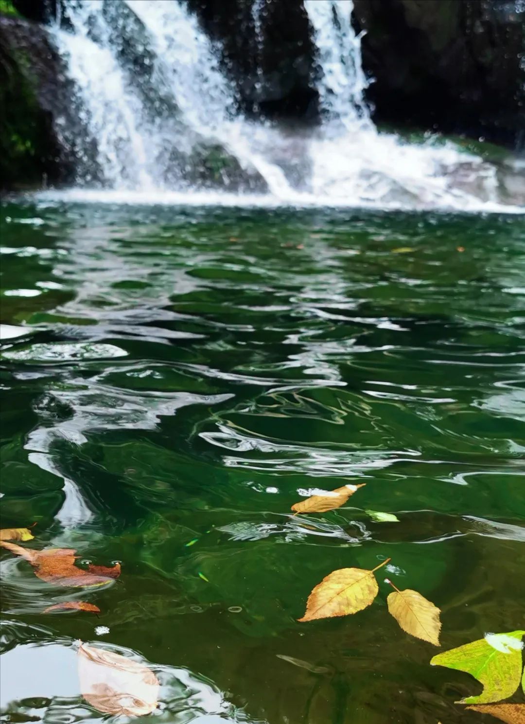 武汉人自驾游住哪里,武汉人自驾游住哪里好