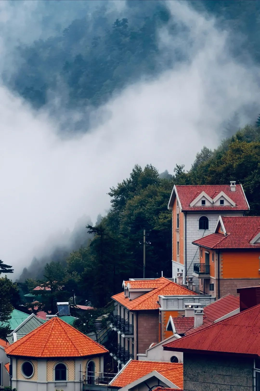武汉人自驾游住哪里,武汉人自驾游住哪里好