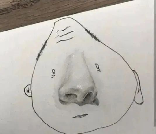 扁桃体和扁腺一样吗,扁桃体和扁桃仁有什么联系