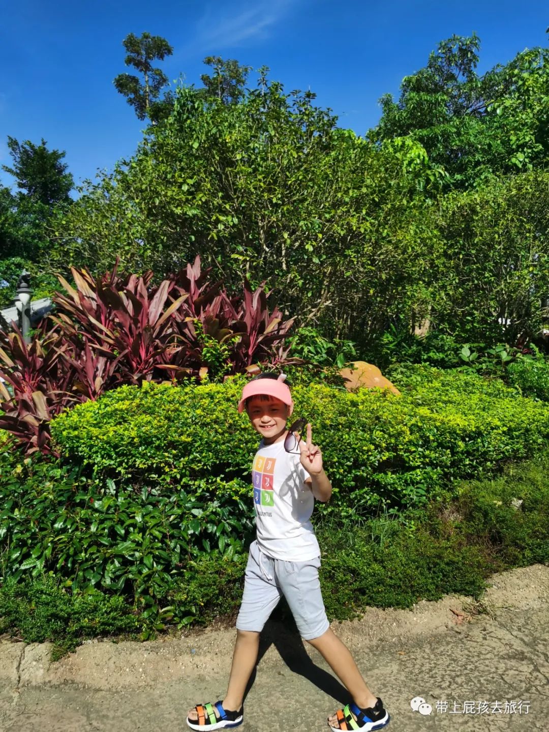 珠海长隆带小孩住哪个酒店比较好,长隆各个酒店区别