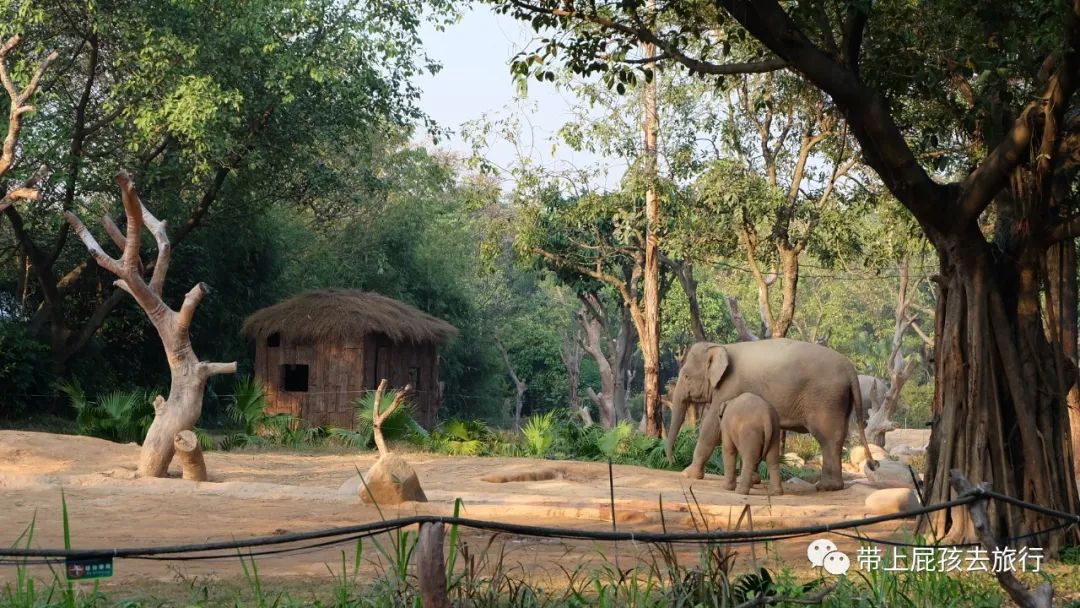 珠海长隆带小孩住哪个酒店比较好,长隆各个酒店区别