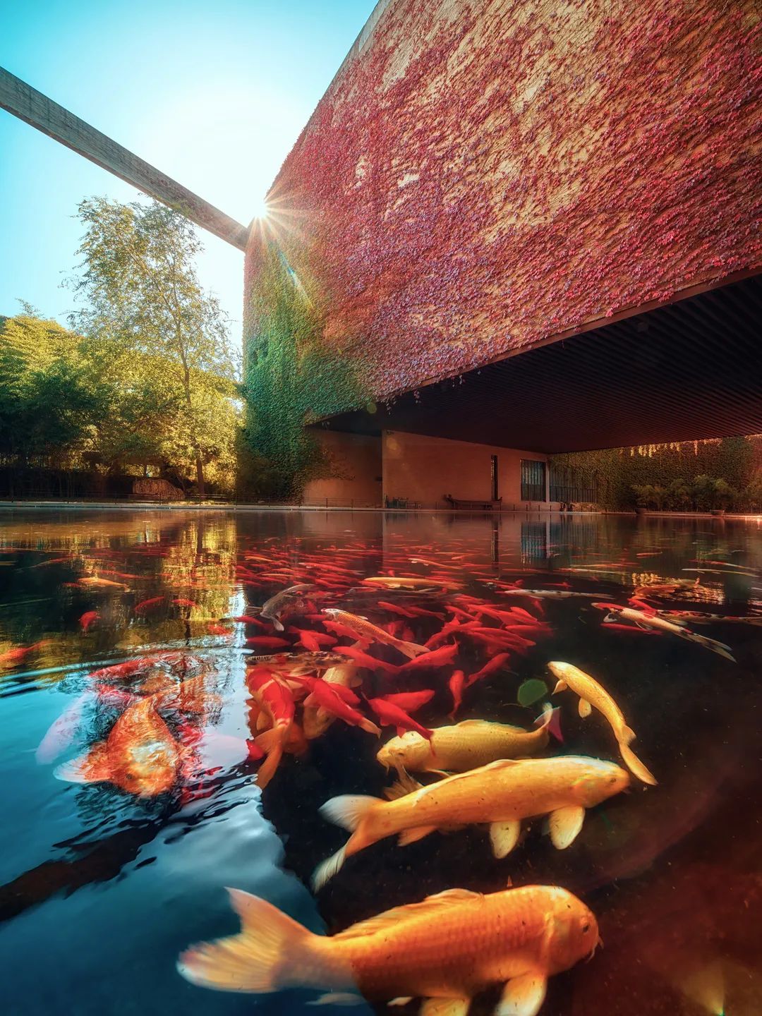 天大最美学院建筑设计理念回顾：它每一天可能都不一样