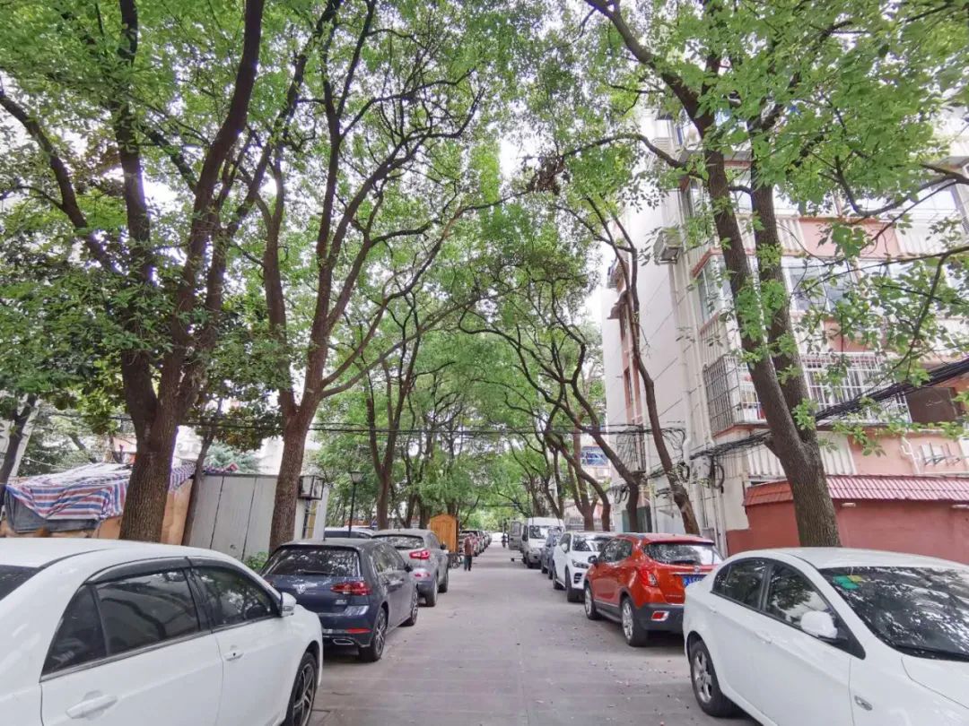 低碳小区,低碳小区是什么