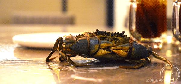 斯里兰卡螃蟹哪家好吃,斯里兰卡大螃蟹好吃吗