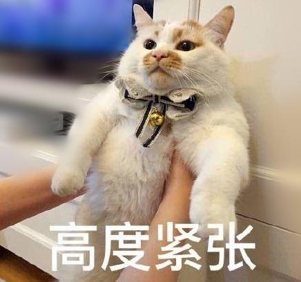 初中学习压力大导致高血压,初中生压力大是不是血压高