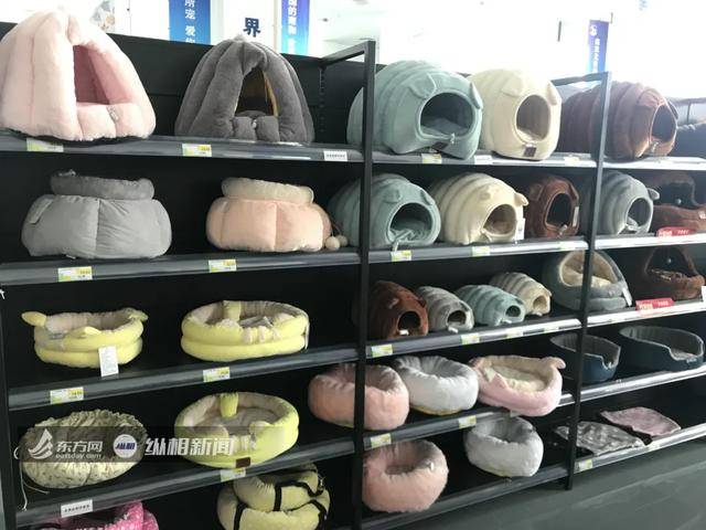 供应宠物食品犬粮,供应宠物零食