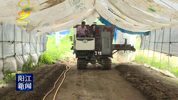 牛粪养殖蚯蚓走上致富路,牛粪养蚯蚓致富项目