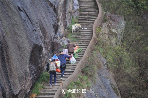 “七日一徽说”之二十八——“九龙出海”岭上关(上)