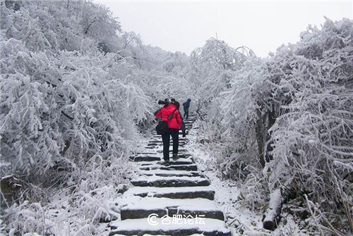 “七日一徽说”之二十八——“九龙出海”岭上关(上)
