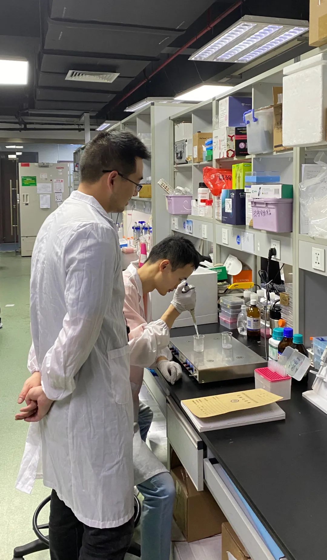 局部抗生素递送系统治疗骨髓炎,新型抗生素的作用机制