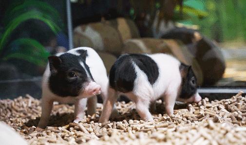 打工人一定要看的视频,打工人必看劳动法