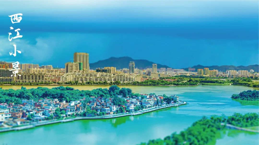 秀丽走秀视频完整版,秀丽礼仪